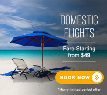 Cheap Domestic Flights USA